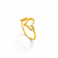Twin Heart Spark Adjustable Ring