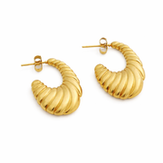 Spiral Chic Earrings