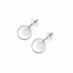 Dreamy Crystal Earings