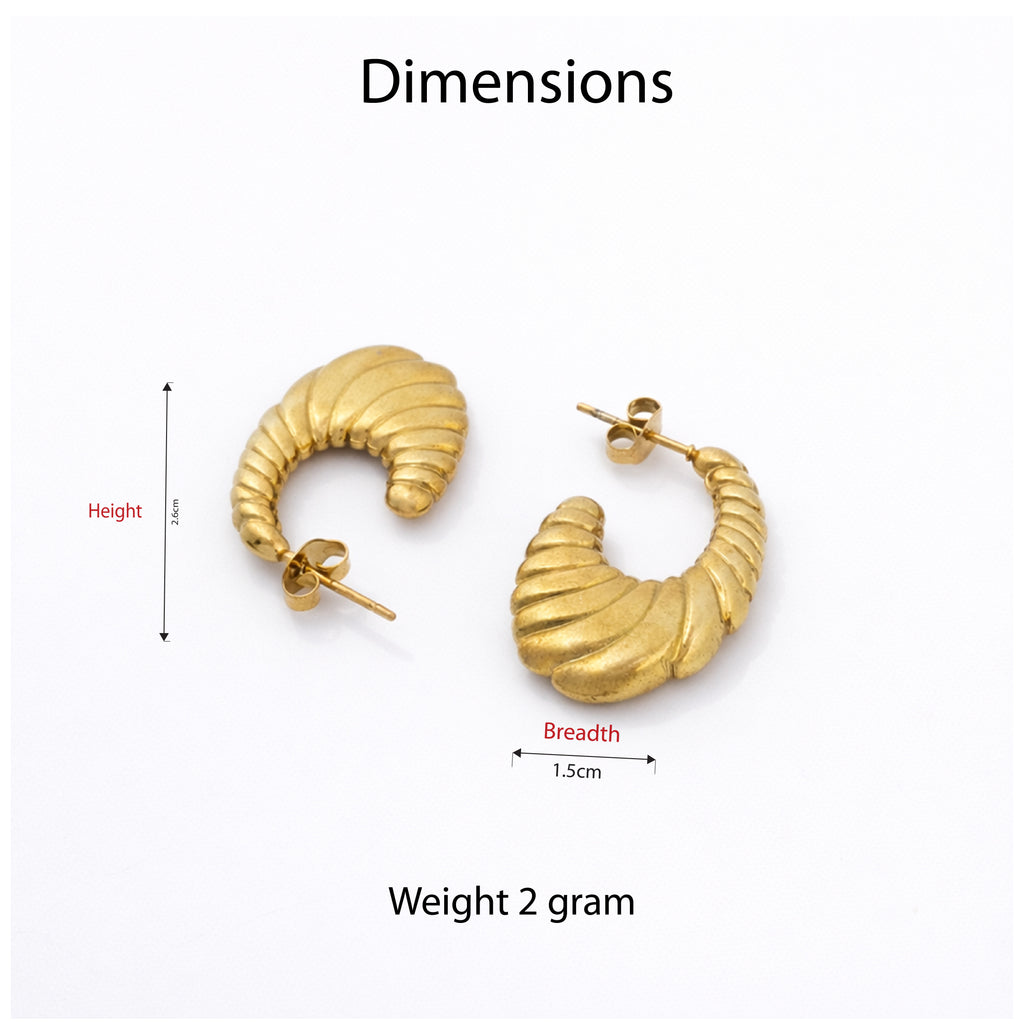 Spiral Chic Earrings