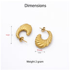 Spiral Chic Earrings