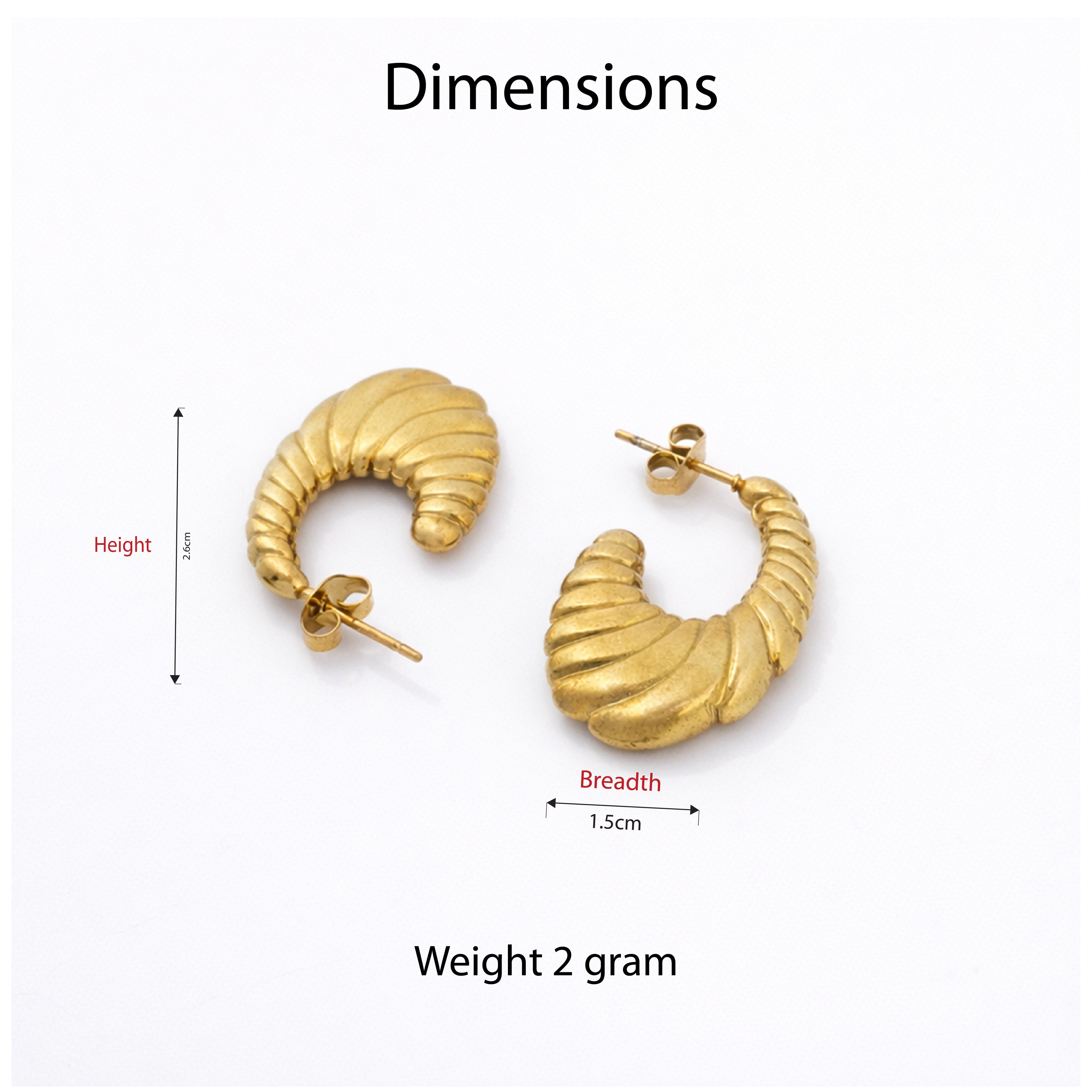 Spiral Chic Earrings
