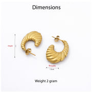 Spiral Chic Earrings